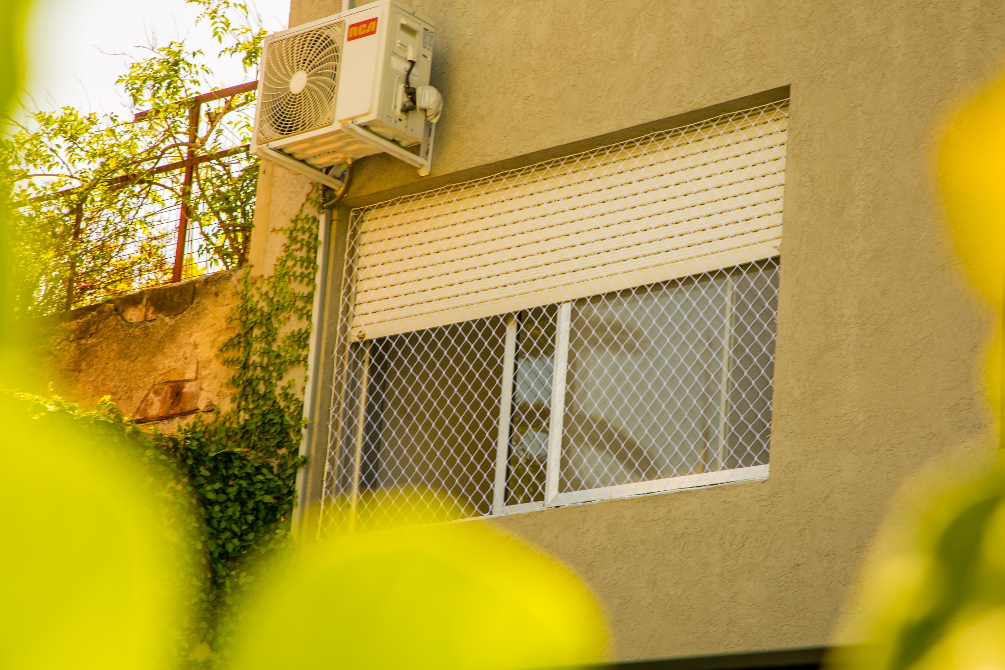 Ventanas: redes de protección